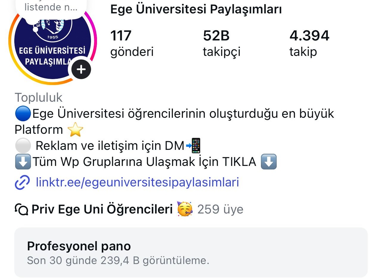 Instagram İçerik